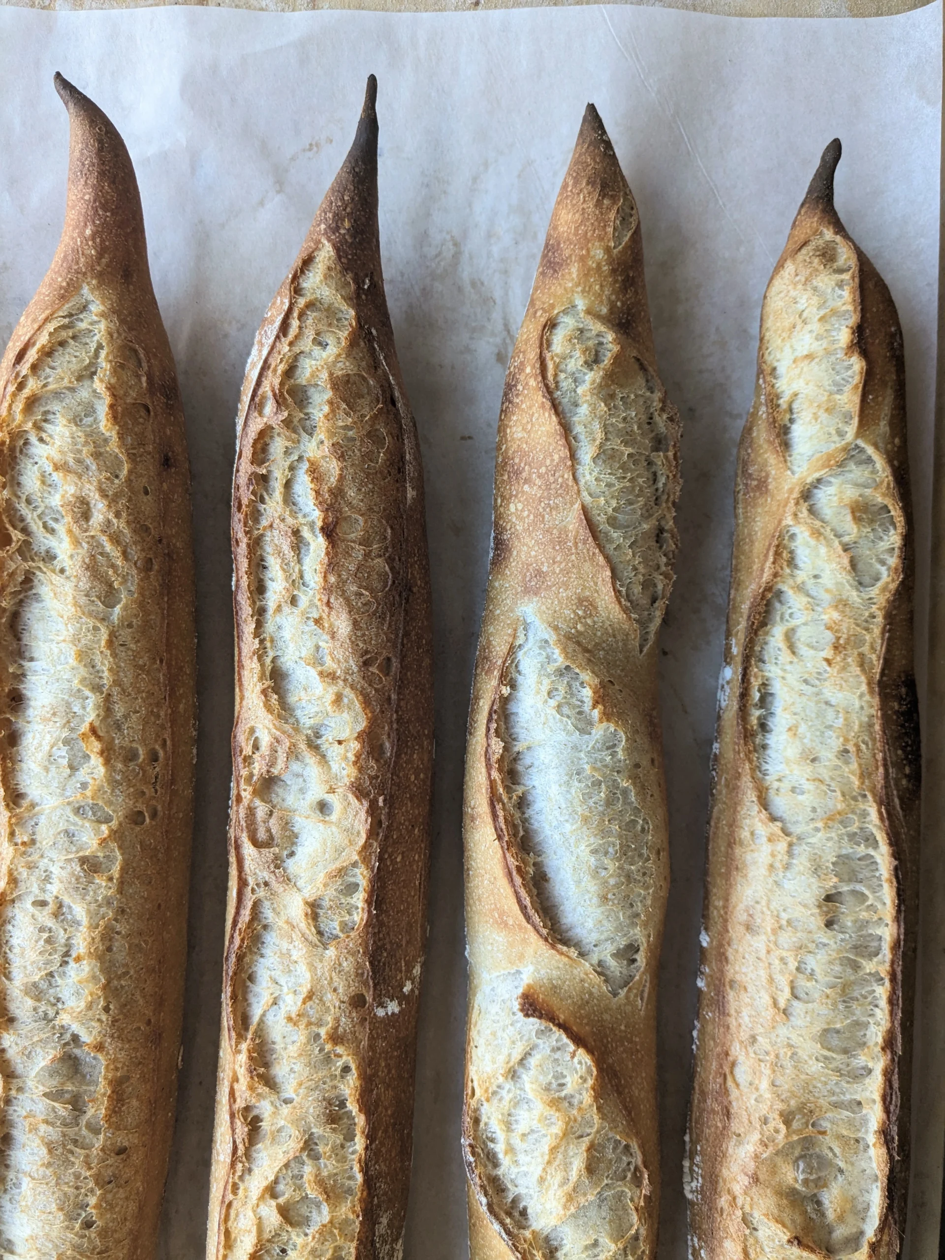 Baguette french michette bakery